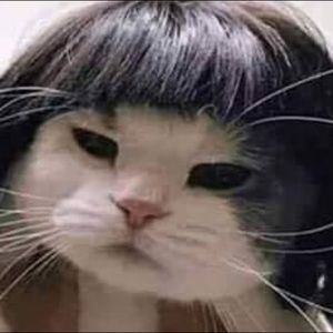 Meet your Posher, Alondra